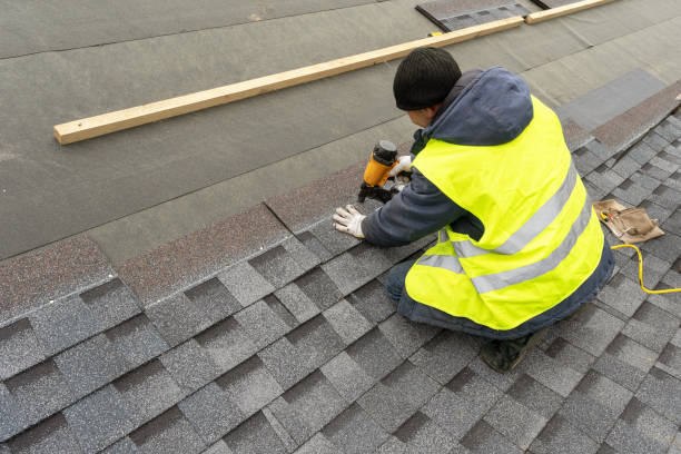 Best Metal Roofing Contractor  in South River, NM