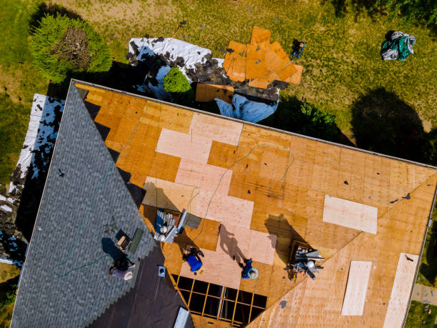 Best Roof Maintenance Services  in South River, NM